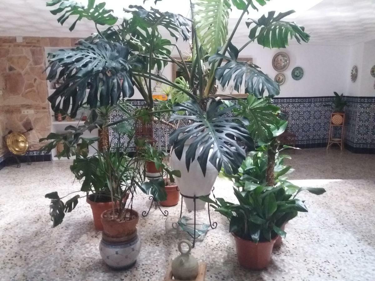 Casa Labradora Lägenhet Herencia Exteriör bild